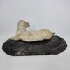 ERMELIN, Mustela Erminea. Taxidermy. Conservator H.M.