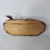 ERMELIN, Mustela Erminea. Taxidermy. Conservator H.M.
