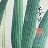 Ohno Bakufu (1888–1976) – Svala och iris, Japanskt träsnitt