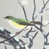 Ohno Bakufu (1888–1976) – Fågel på blommande kvist, Japanskt träsniti