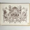"Upsala i Taflor" av Alexander Nay (1870) – 12 litografier